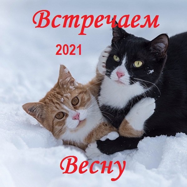 Постер к Встречаем Весну (2021)