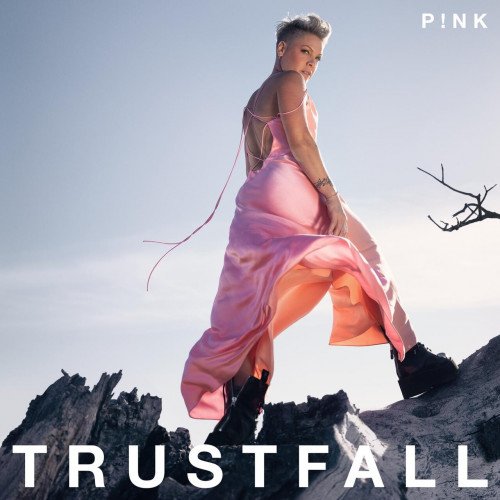 Постер к P!nk - TRUSTFALL (2023)